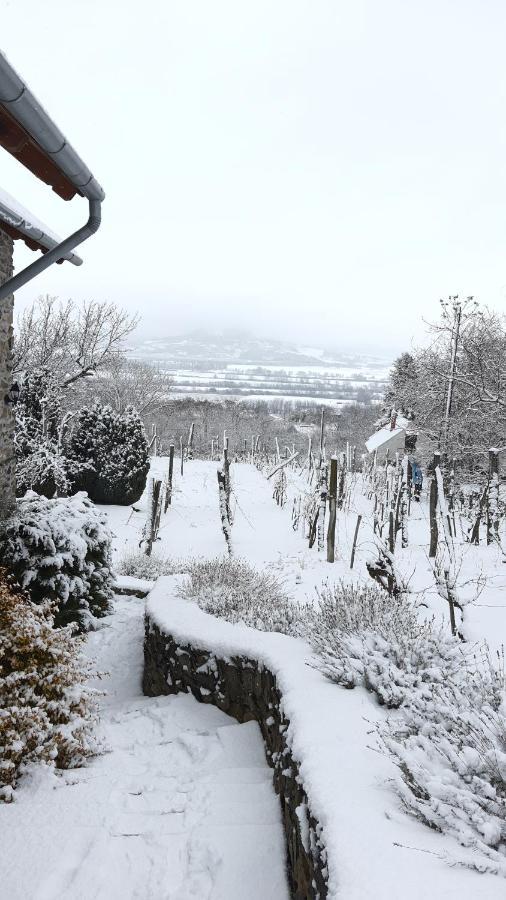 Sarkanyles Vendeghaz Kisapati Dış mekan fotoğraf