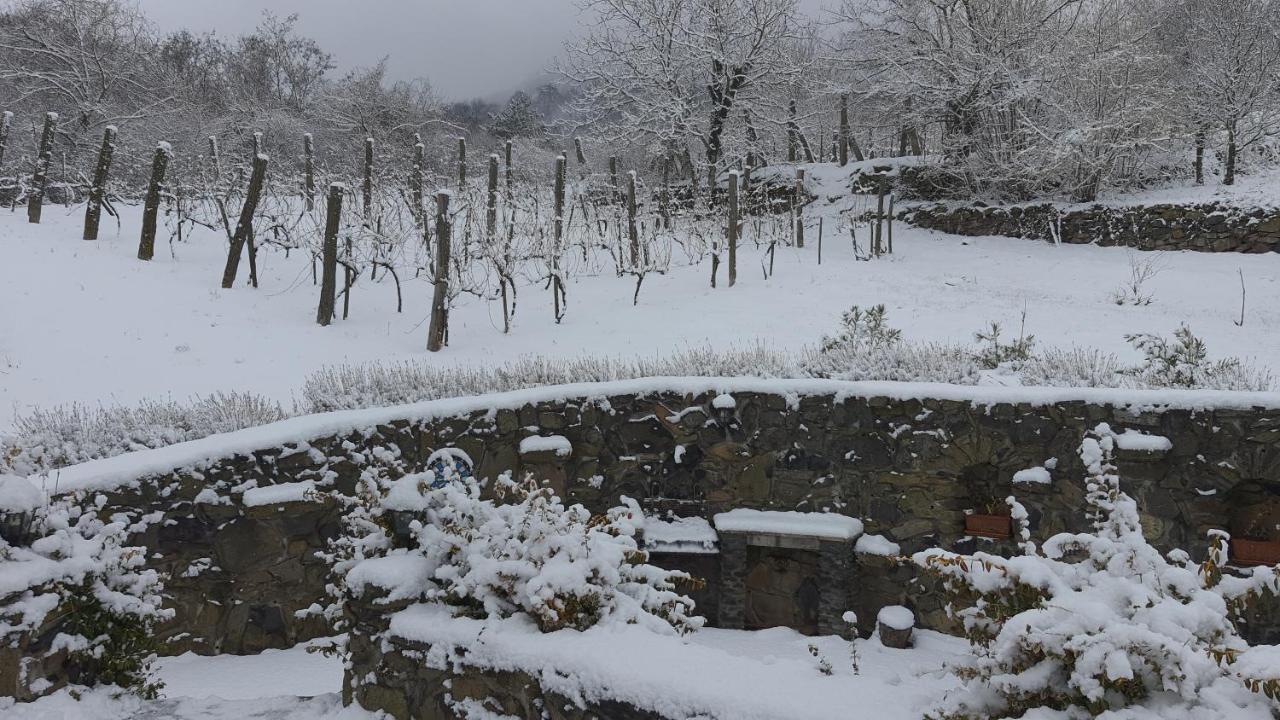 Sarkanyles Vendeghaz Kisapati Dış mekan fotoğraf