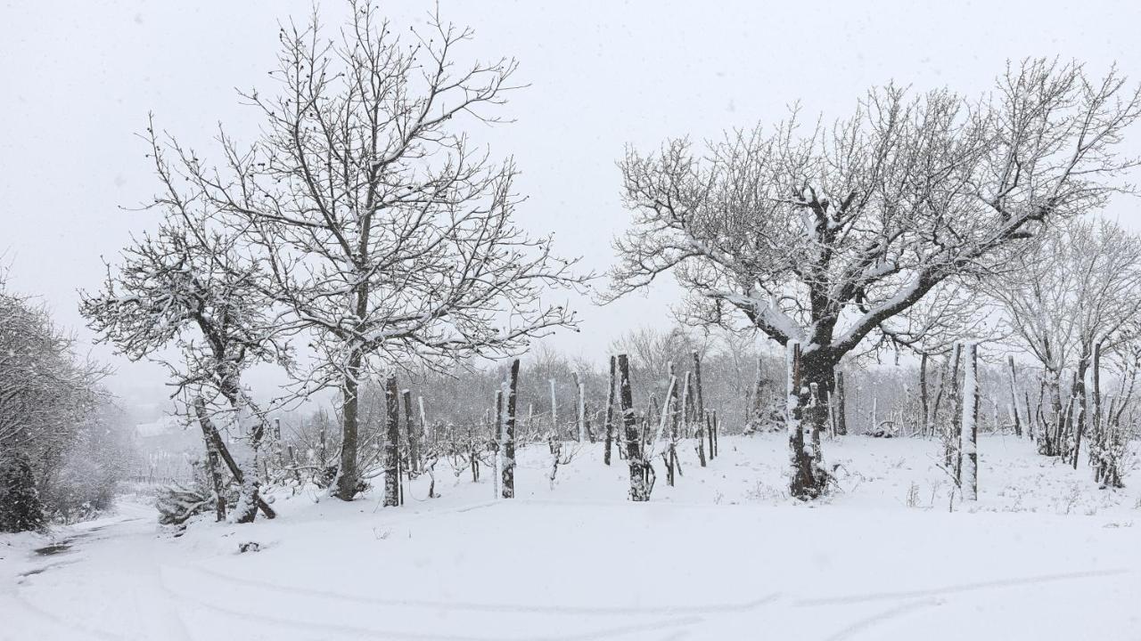 Sarkanyles Vendeghaz Kisapati Dış mekan fotoğraf